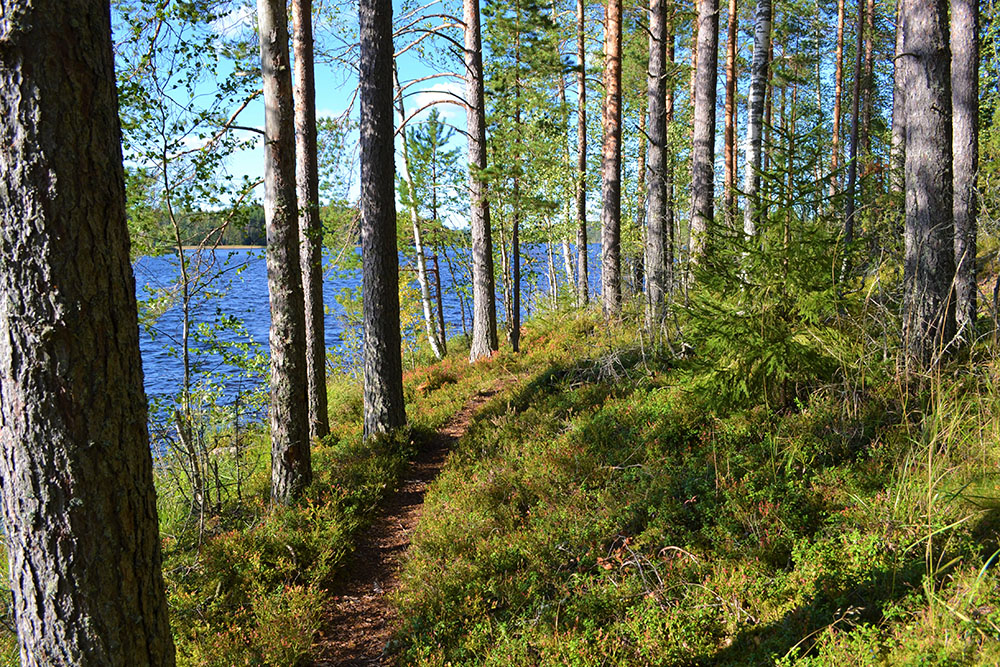 Geopark-polku-Salpalinjan Hovi
